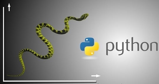 Hire a Python Developer