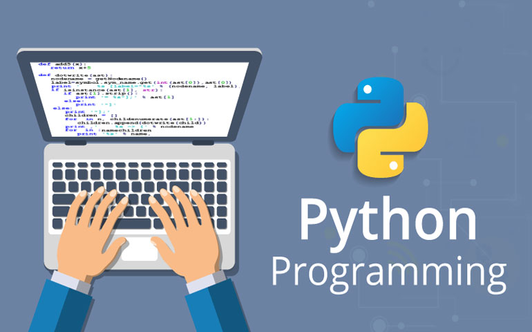 Hire a Python Developer